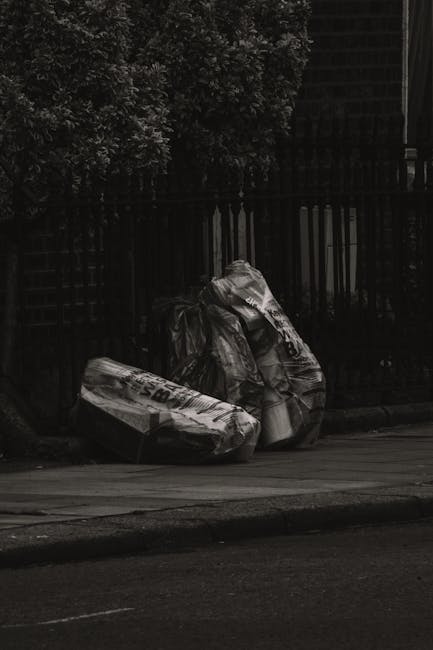 Same day rubbish collection delays common problems in Bayswater